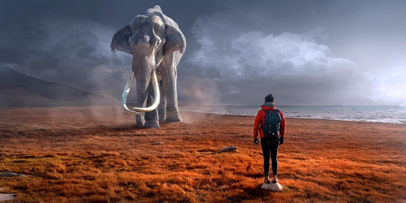 Spirit encounters